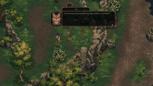 Drova Forsaken Kin 130645,1